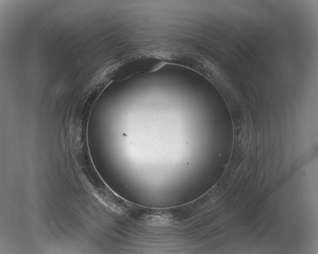 X0000081280548200701181746