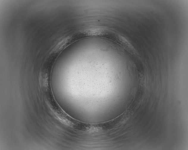 X0000081280549200701181746