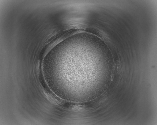 X0000081280550200701181746