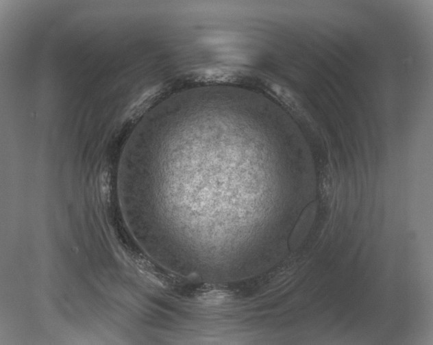 X0000081280551200701181746