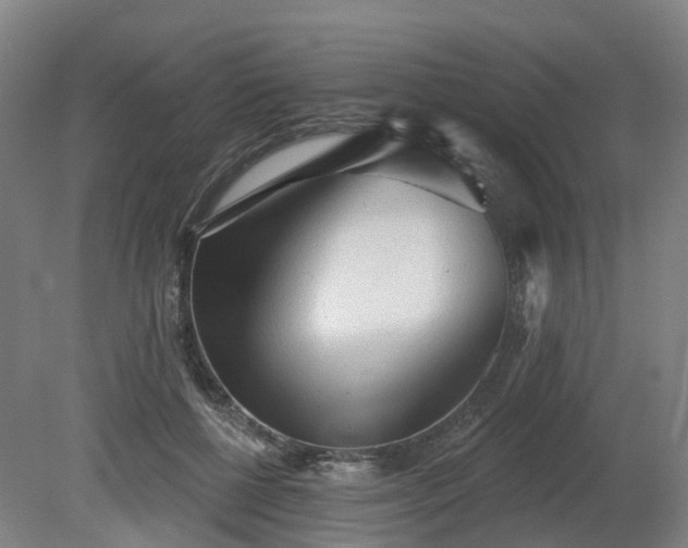 X0000081280552200701181746