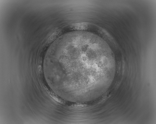 X0000081280553200701181746