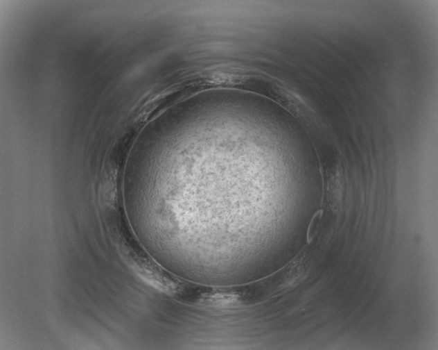 X0000081280554200701181746