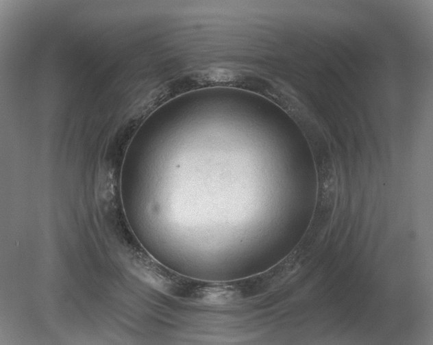 X0000081280555200701181746