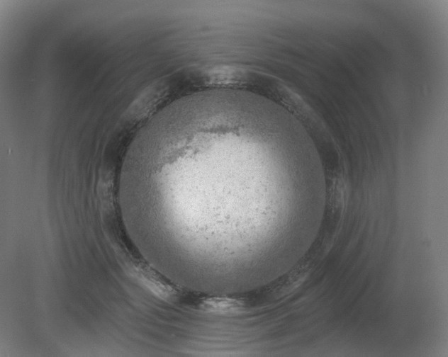 X0000081280557200701181746