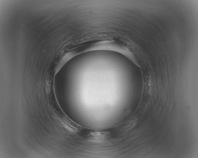 X0000081280558200701181746