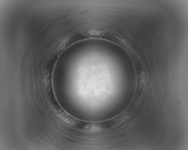 X0000081280559200701181746