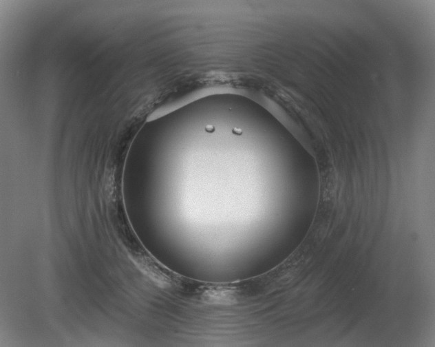 X0000081280560200701181746