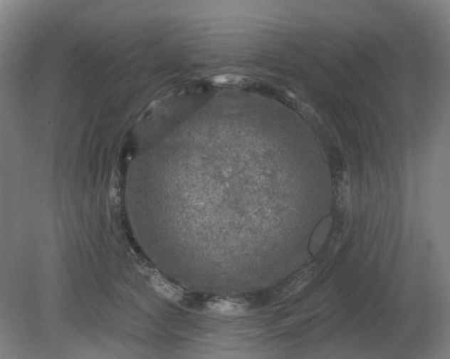 X0000081280561200701181746