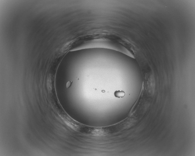 X0000081280562200701181746