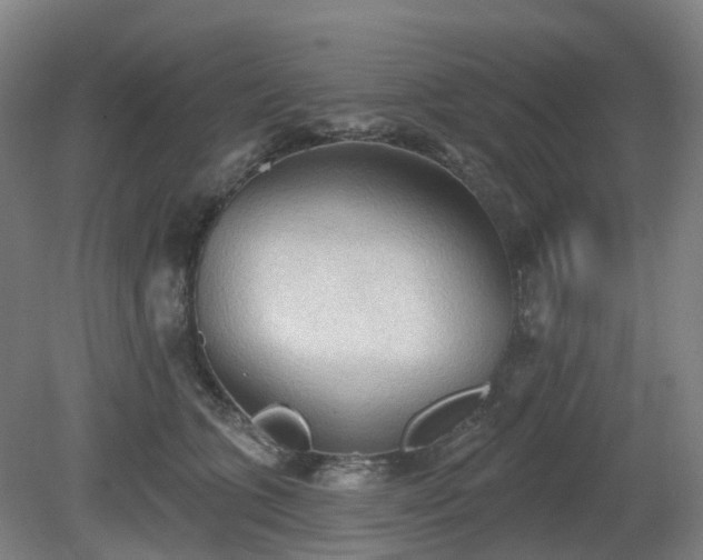 X0000081280563200701181746