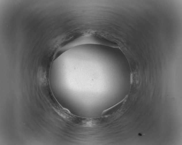 X0000081280564200701181746