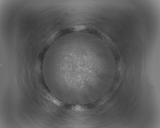 X0000081280565200701181746