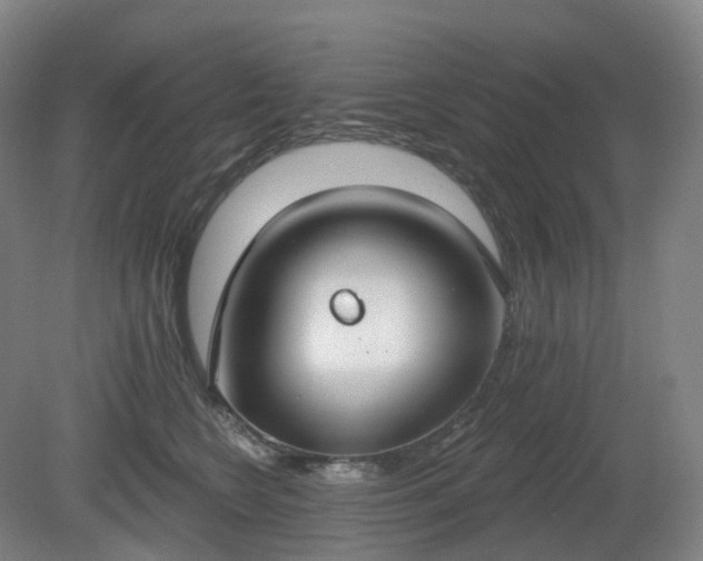 X0000081280566200701181746