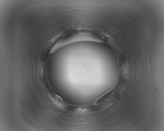 X0000081280570200701181746