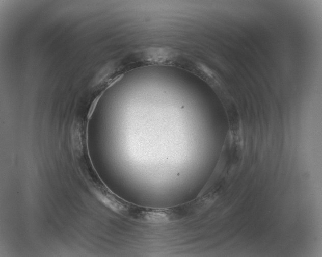 X0000081280572200701181746