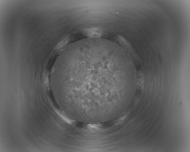 X0000081280573200701181746