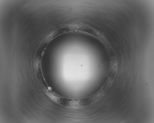 X0000081280574200701181746