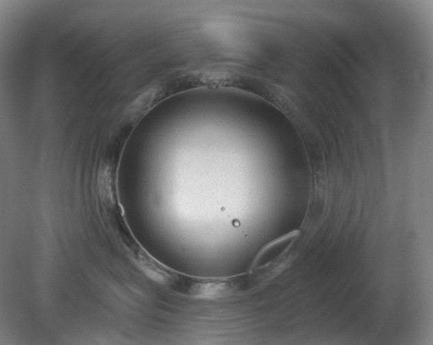 X0000081280575200701181746