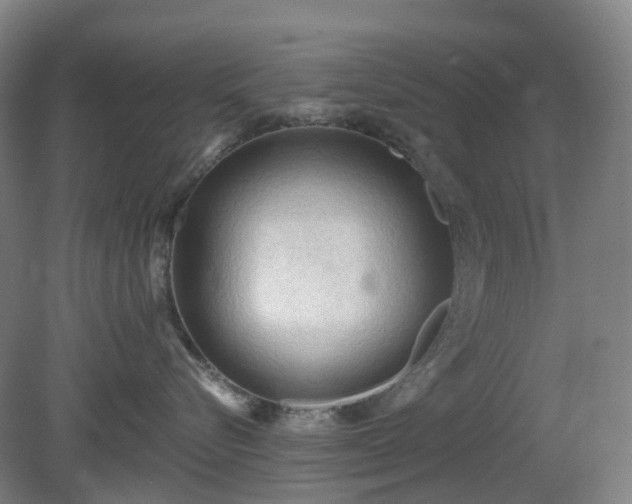 X0000081280576200701181746