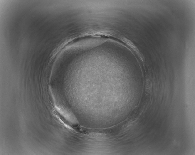 X0000081280577200701181745