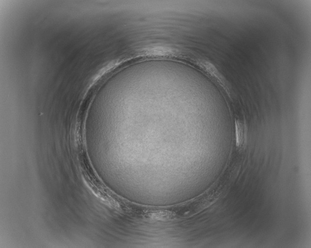 X0000081280579200701181745