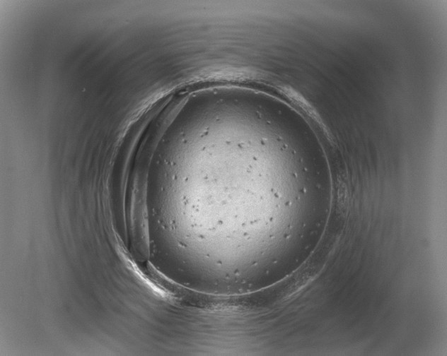 X0000081280581200701181745