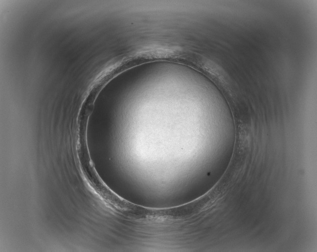 X0000081280582200701181745