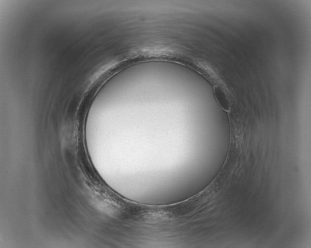 X0000081280583200701181745