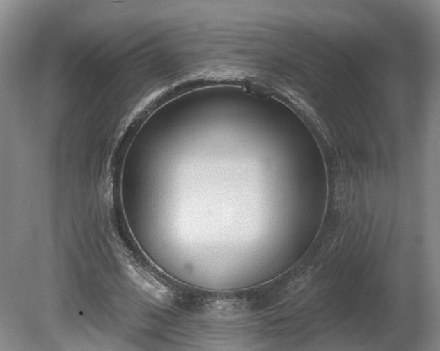 X0000081280584200701181745