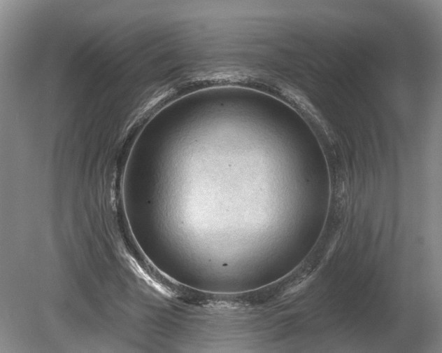 X0000081280585200701181745