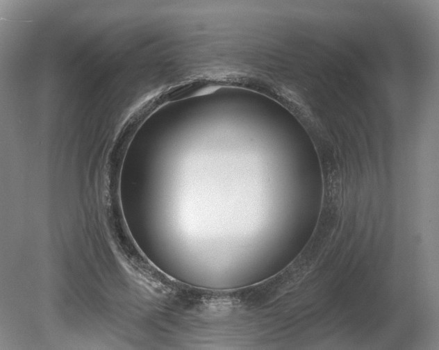 X0000081280587200701181745