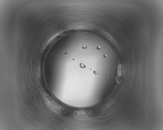 X0000081280588200701181745