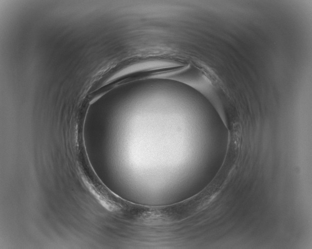 X0000081280589200701181745