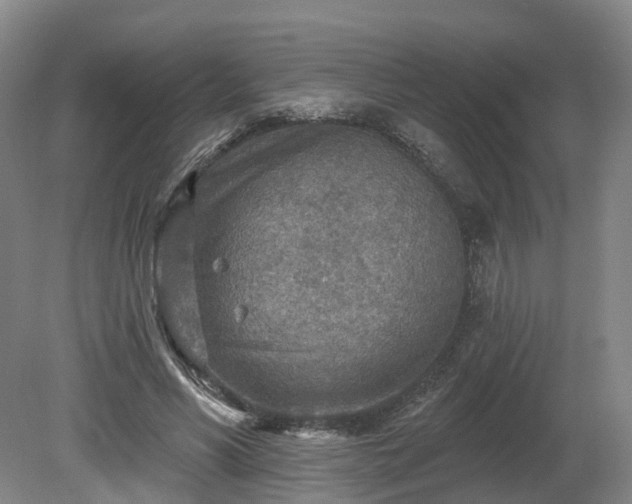 X0000081280590200701181745