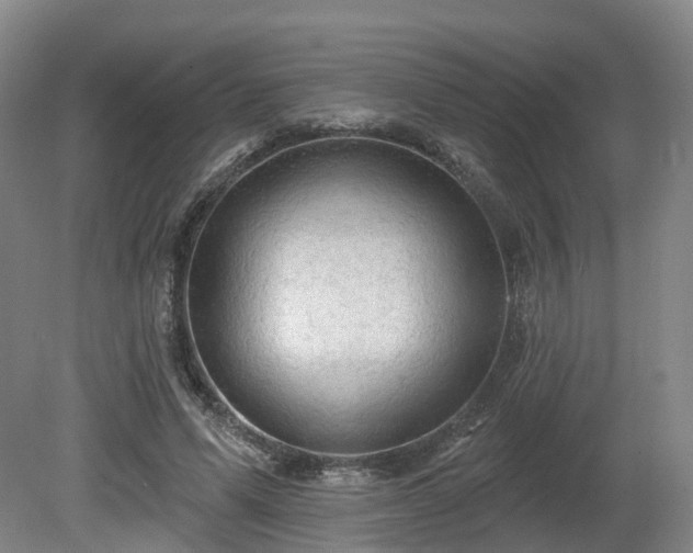 X0000081280591200701181745