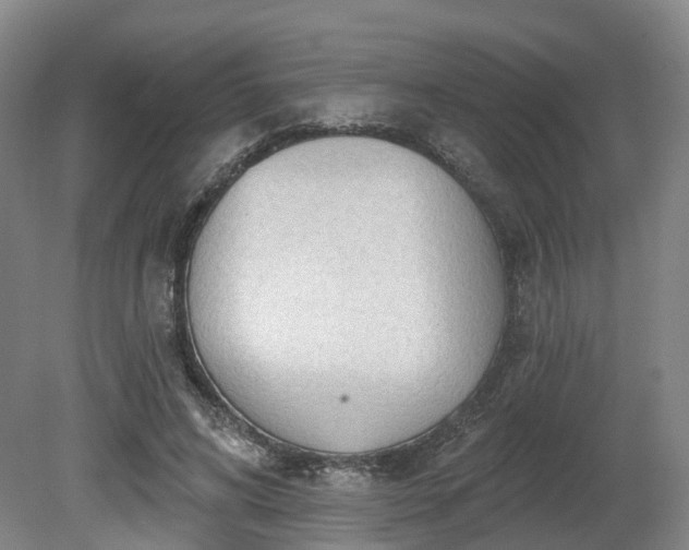 X0000081280592200701181745