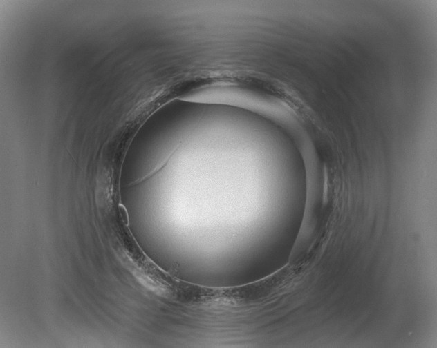 X0000081280593200701181745