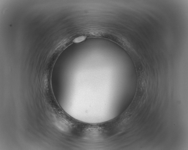 X0000081280595200701181745