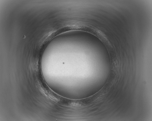 X0000081280596200701181745