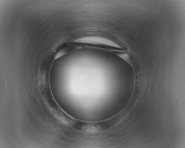 X0000081280597200701181745