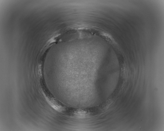 X0000081280598200701181745