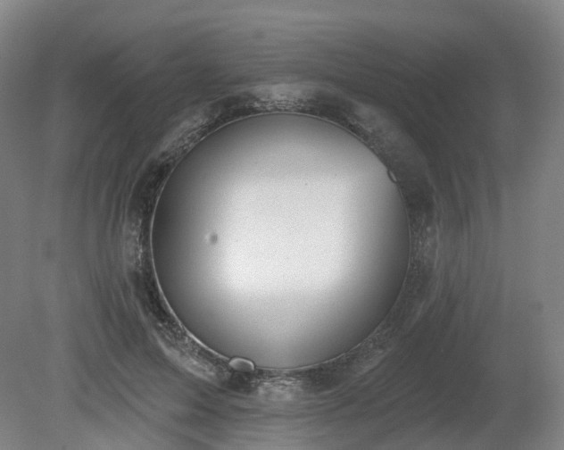 X0000081280599200701181745