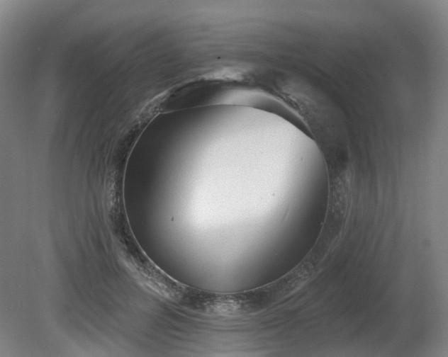 X0000081280600200701181745