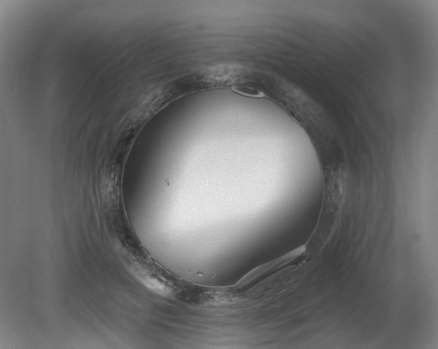 X0000081280601200701181745