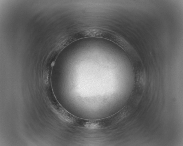 X0000081280602200701181745