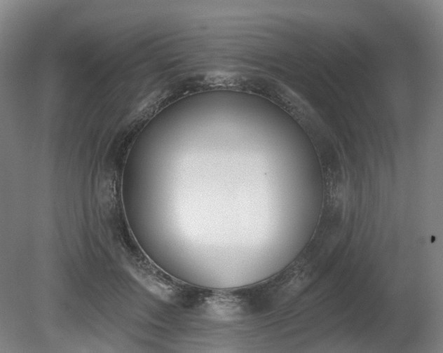 X0000081280603200701181745