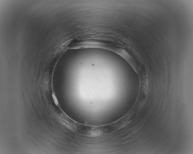 X0000081280604200701181745