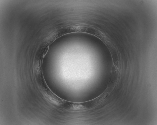 X0000081280605200701181745