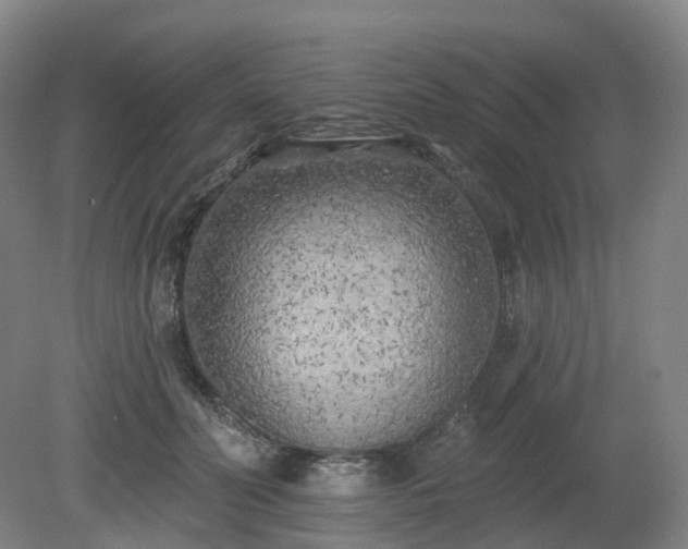 X0000081280606200701181745